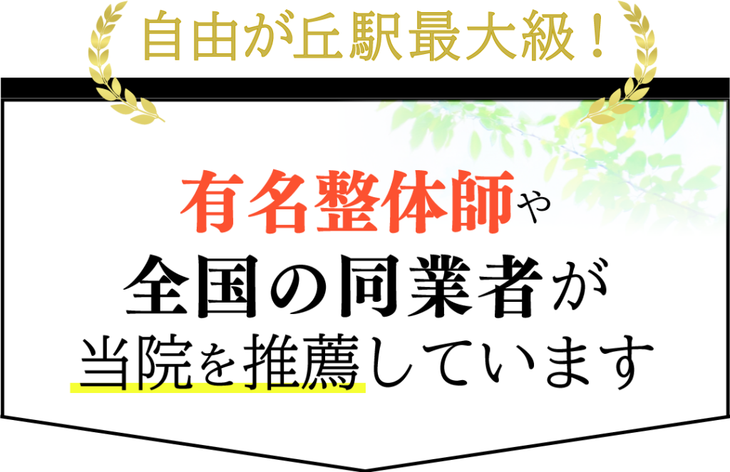 自由が丘駅最大級 有名整体師や全国の同業者が当院を推薦