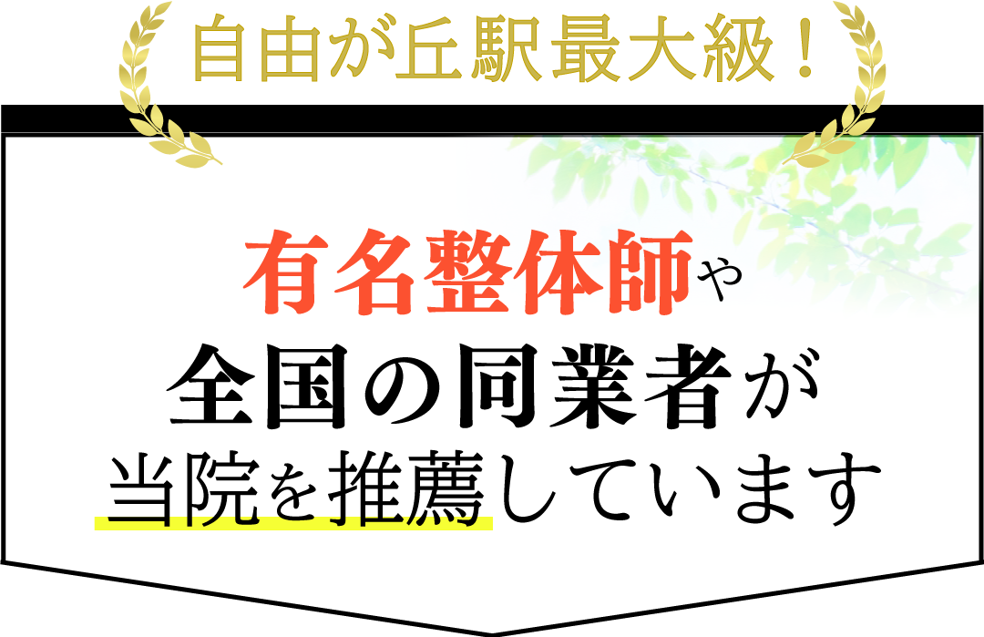自由が丘駅最大級！有名整体師や全国の同業者が当院を推薦しています。